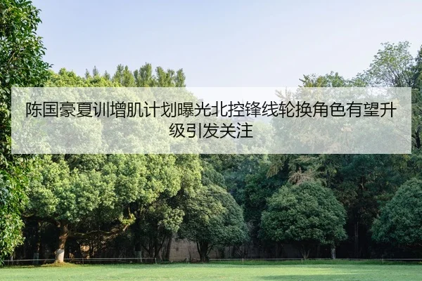 陈国豪夏训增肌计划曝光北控锋线轮换角色有望升级引发关注