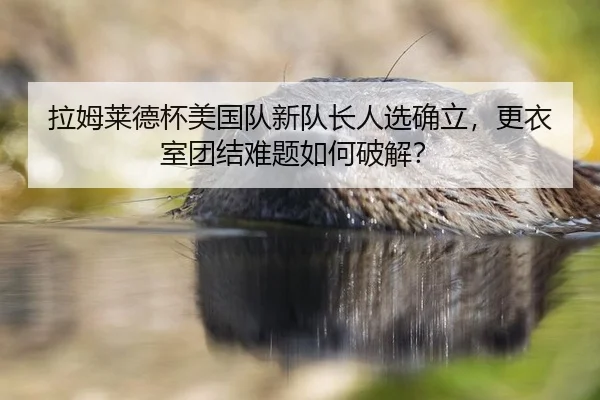 la-mu-lai-de-bei-mei-guo-dui-xin-dui-zhang-ren-xuan-que-li-geng-yi-shi-tuan-jie-nan-ti-ru-he-po-jie-3-754.jpg