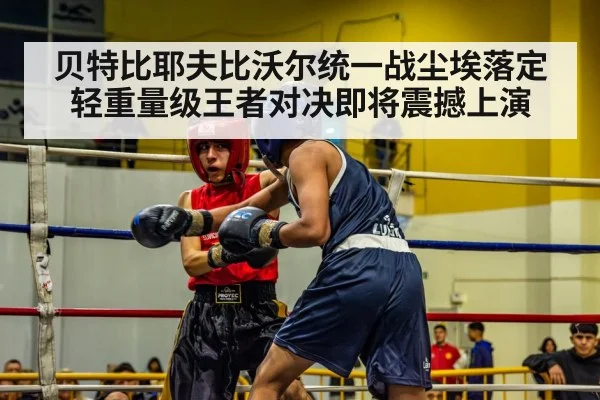 贝特比耶夫比沃尔统一战尘埃落定 轻重量级王者对决即将震撼上演