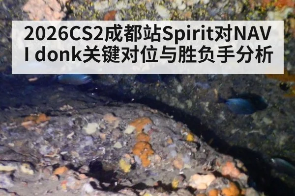 2026CS2成都站Spirit对NAVI donk关键对位与胜负手分析